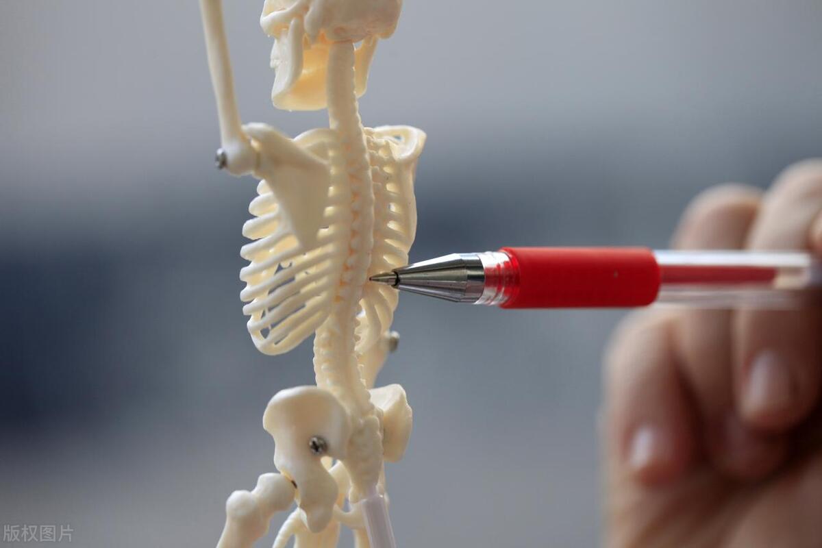 椎间盘突出能干体力劳动吗,治疗椎间盘膨出的偏方