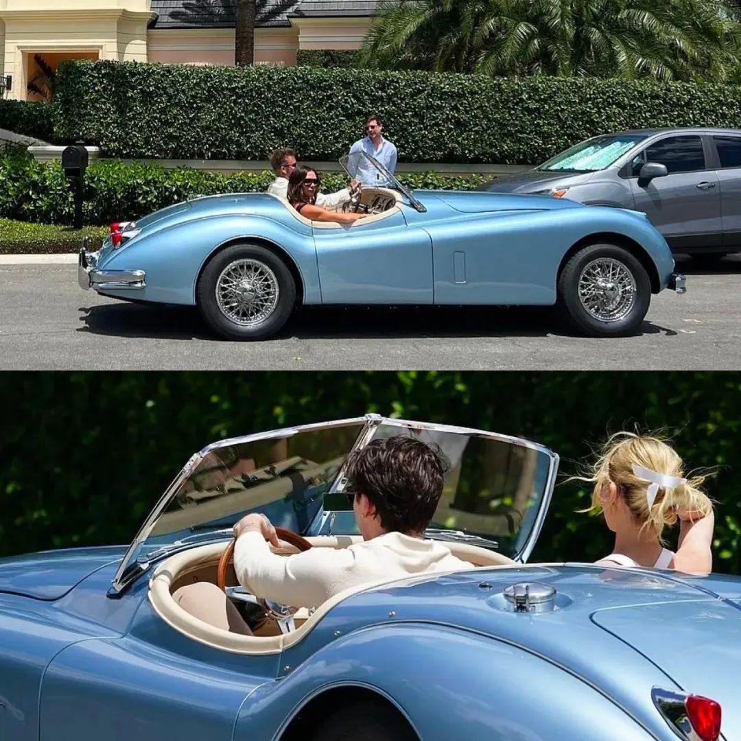 现实版豪门赘婿,现代豪门赘婿