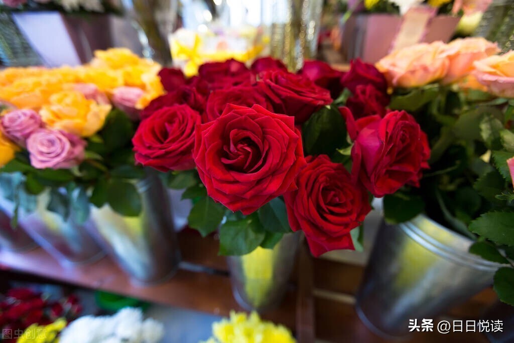 现在开花店赚钱吗有前景吗,开花店如何才能赚钱