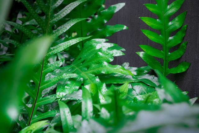 家长请老师去做美容怎样拒绝,母女做美容