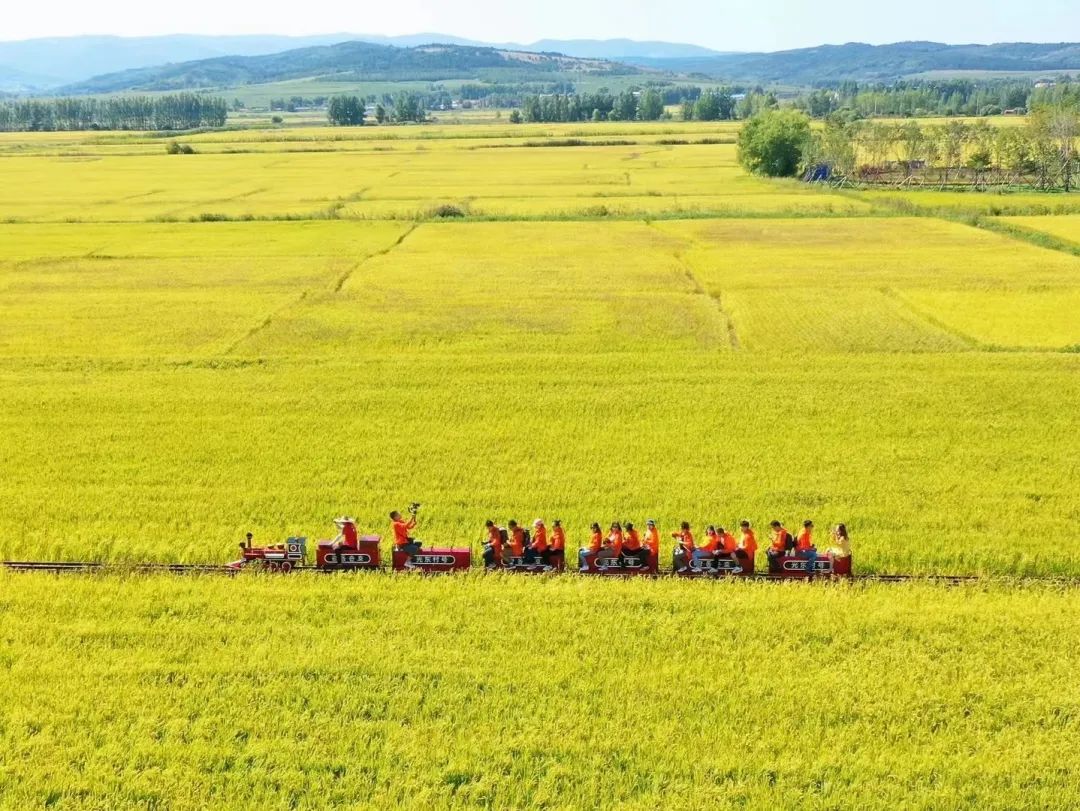 夏季延边旅游最佳路线推荐,延边最新活动消息