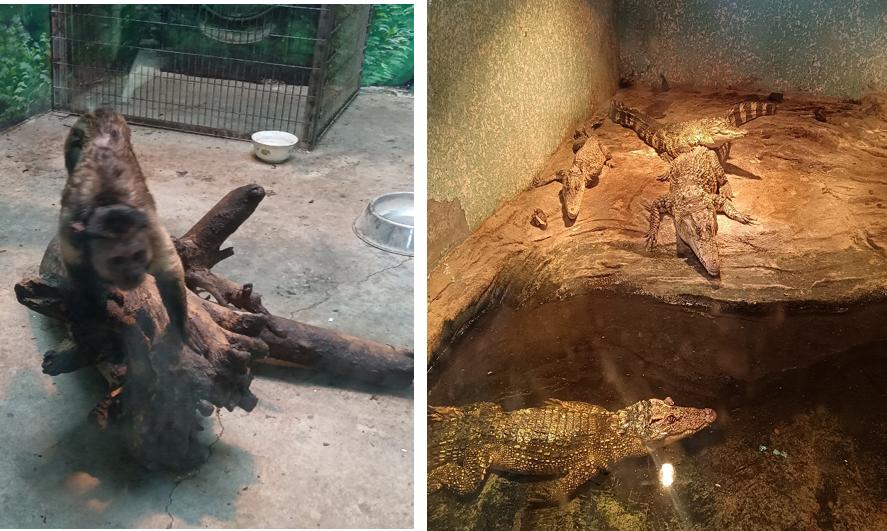 包头市动物园在哪里,包头劳动公园动物园