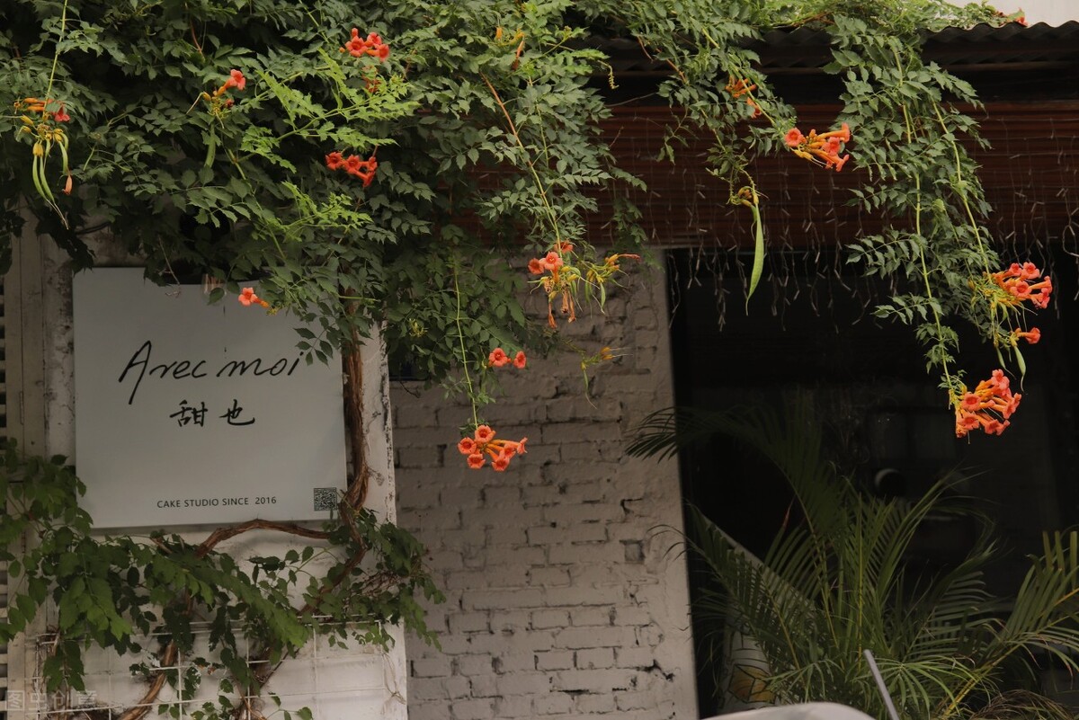 愿被岁月温柔以待琴瑟在御,愿琴瑟在御岁月静好下一句