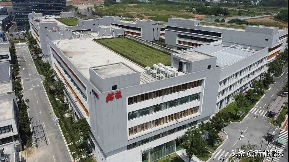 新都发展最好的地方,新都什么路练车比较合适