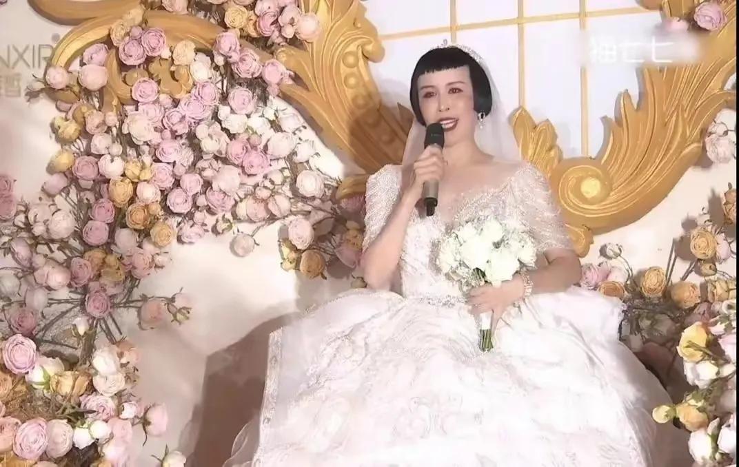 网红猫七七结婚,网红猫七七和小男友是真爱吗