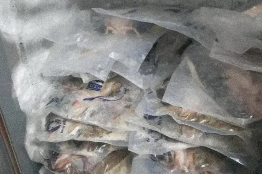 合肥半天妖烤鱼最新消息,官方调查合肥半天妖烤鱼