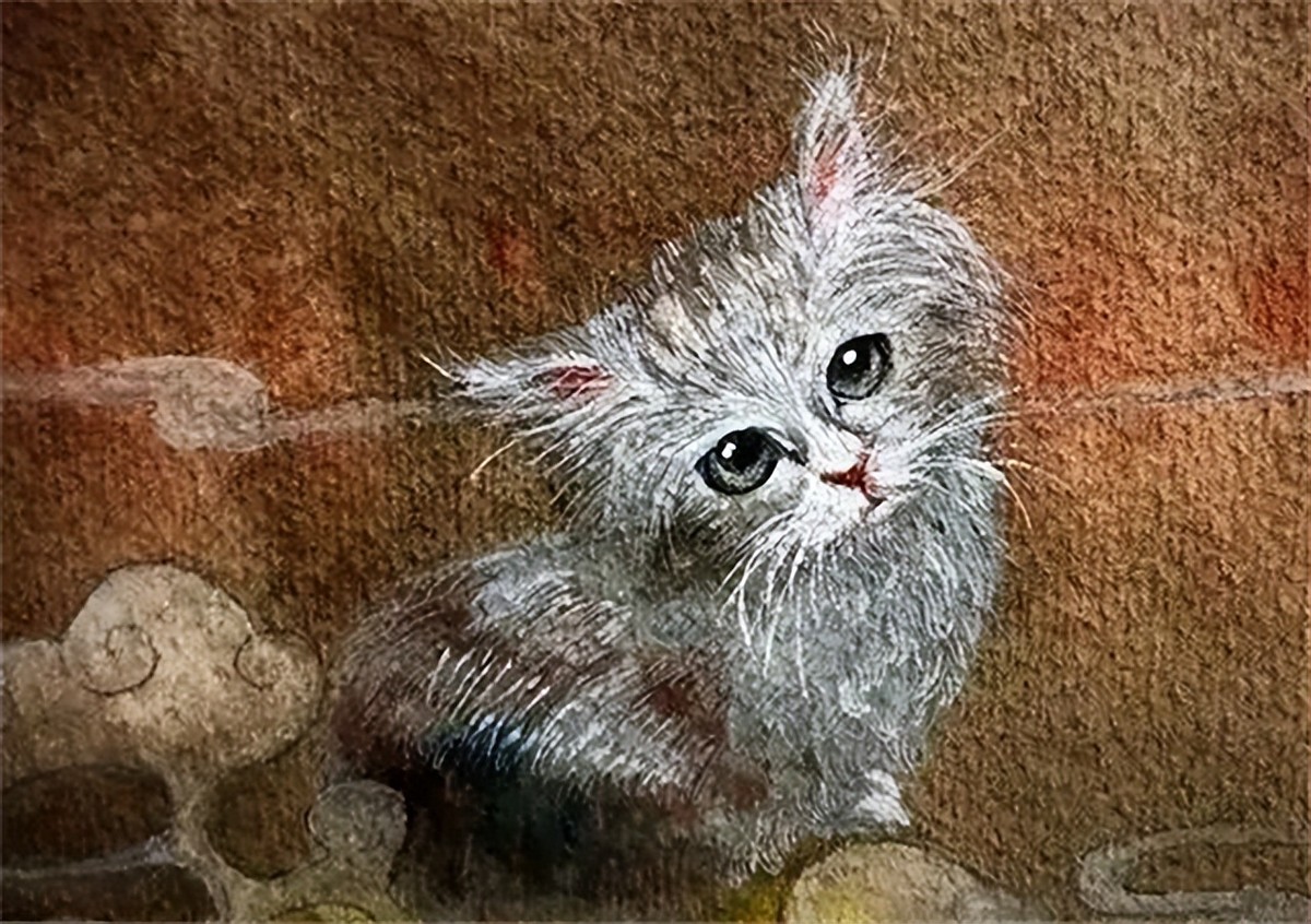 李时珍为什么说猫不能吃,中国人为什么不吃猫