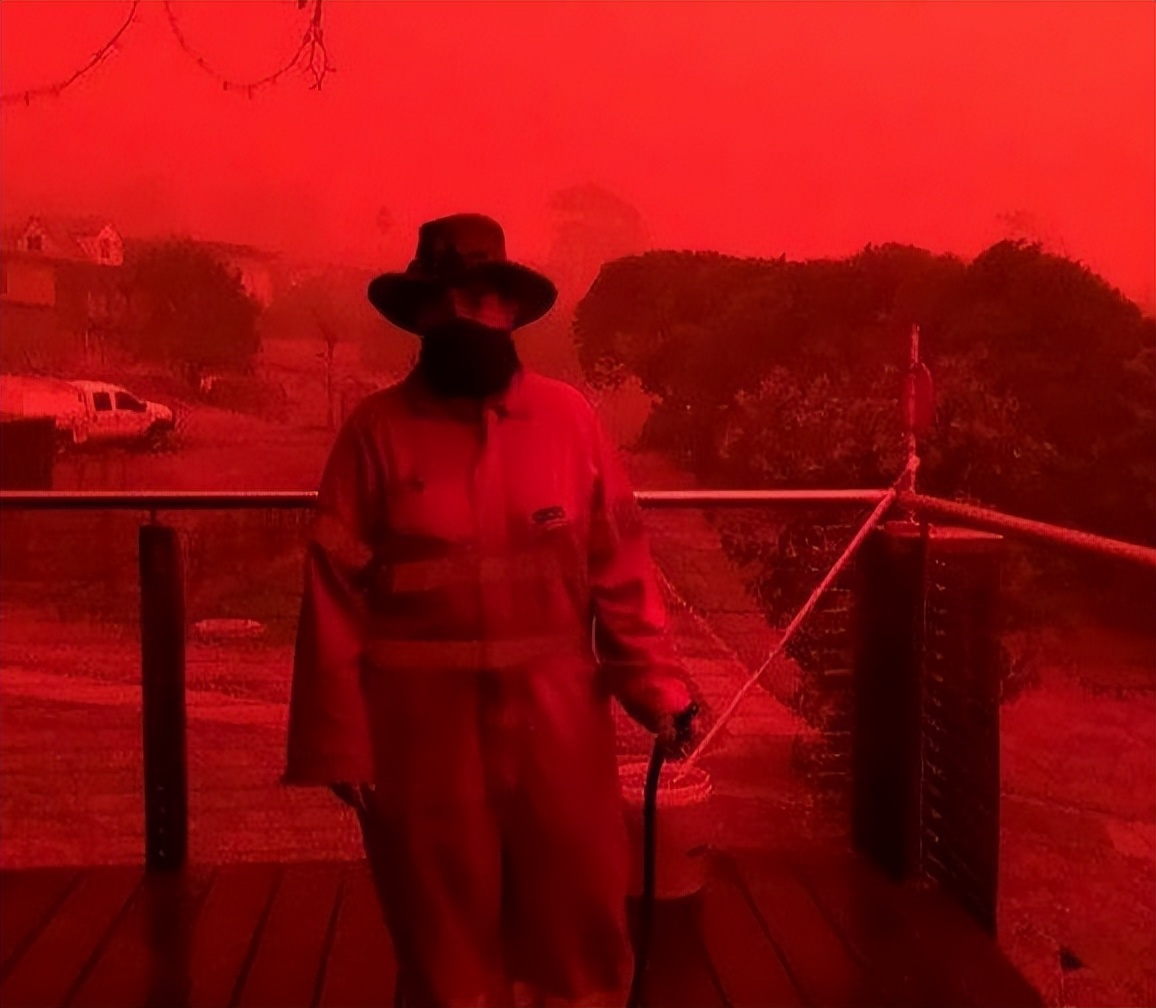 有没有人觉得猫头鹰长得很可怕,猫头鹰真正的照片