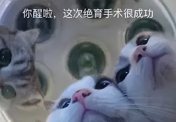 一来月经就痛经是什么原因,经期咯血