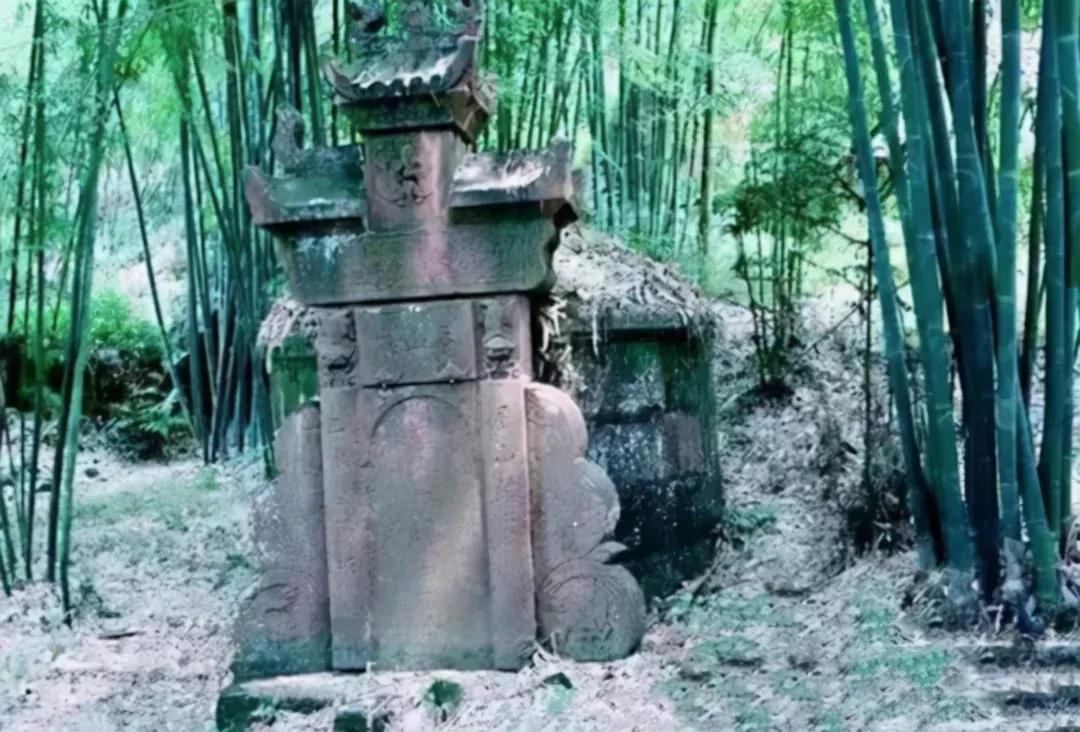 坟前长竹意味着什么预兆,为什么坟前长竹需迁坟