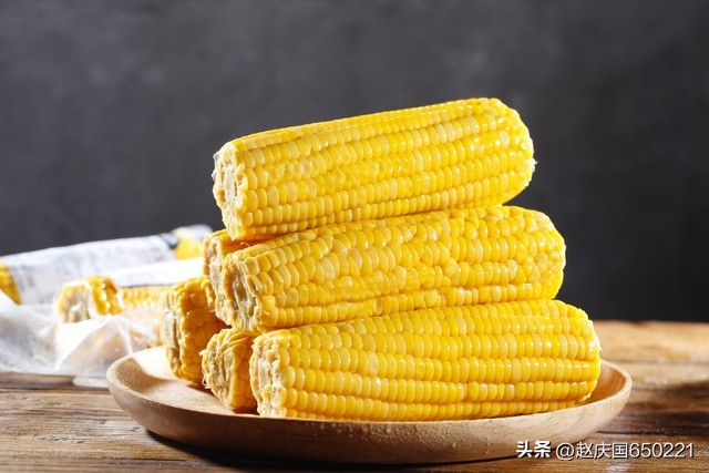 成都惊现农业玉米移栽术,现代绿化新科技吗?