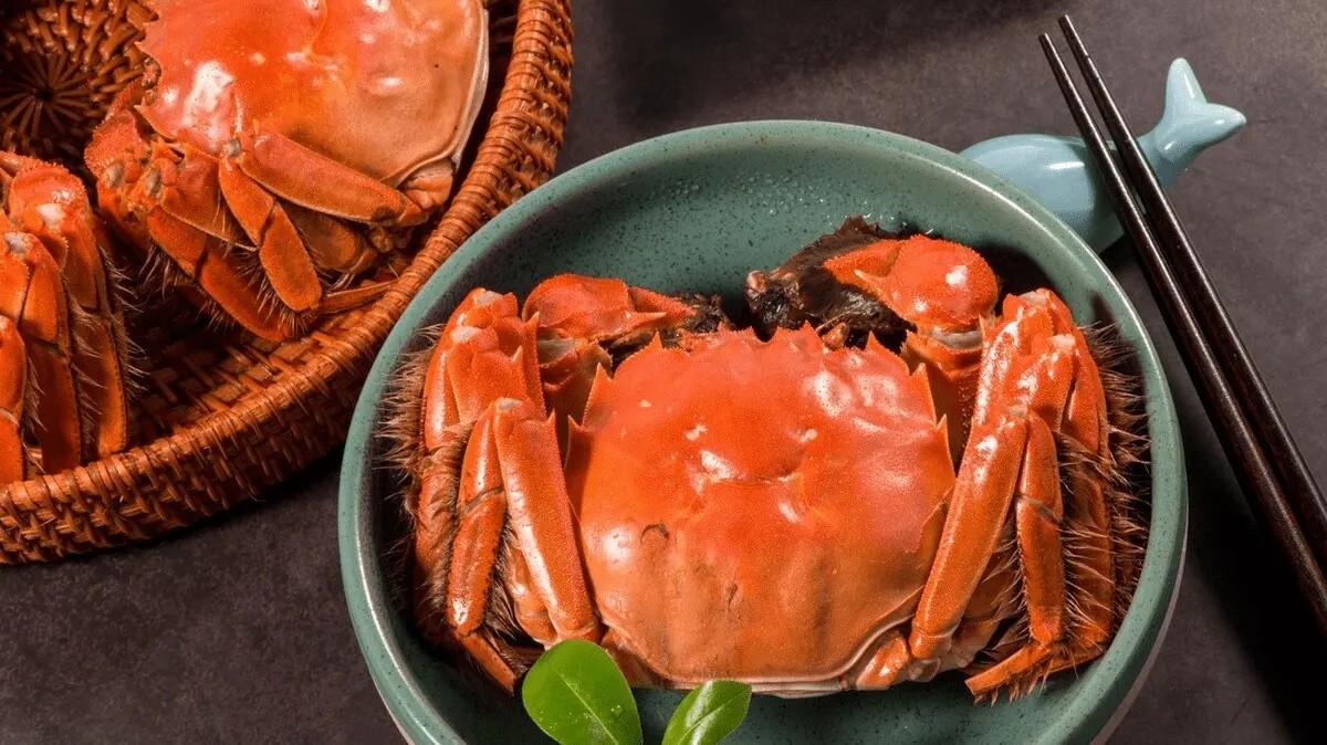 哪里的螃蟹最有名最好,全国最好的螃蟹排名