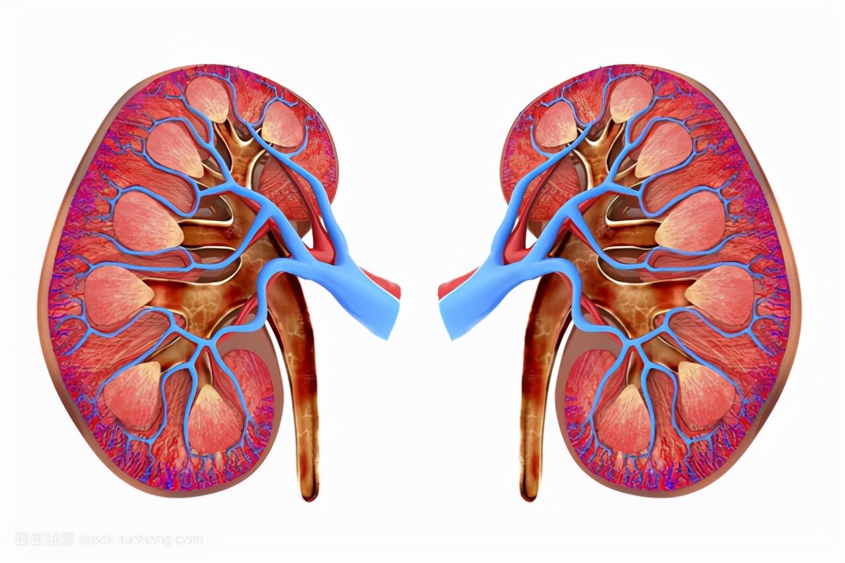 糖尿病人尿有泡沫中医怎么治疗,糖尿病泡沫尿中医如何恢复正常