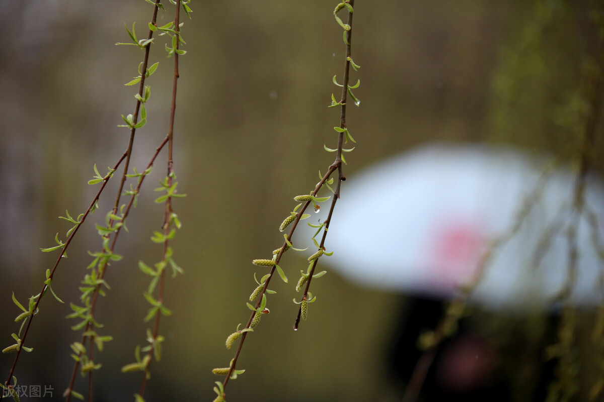 永遇乐落日熔金有虚实结合吗,永遇乐落日熔金是慢词双调吗