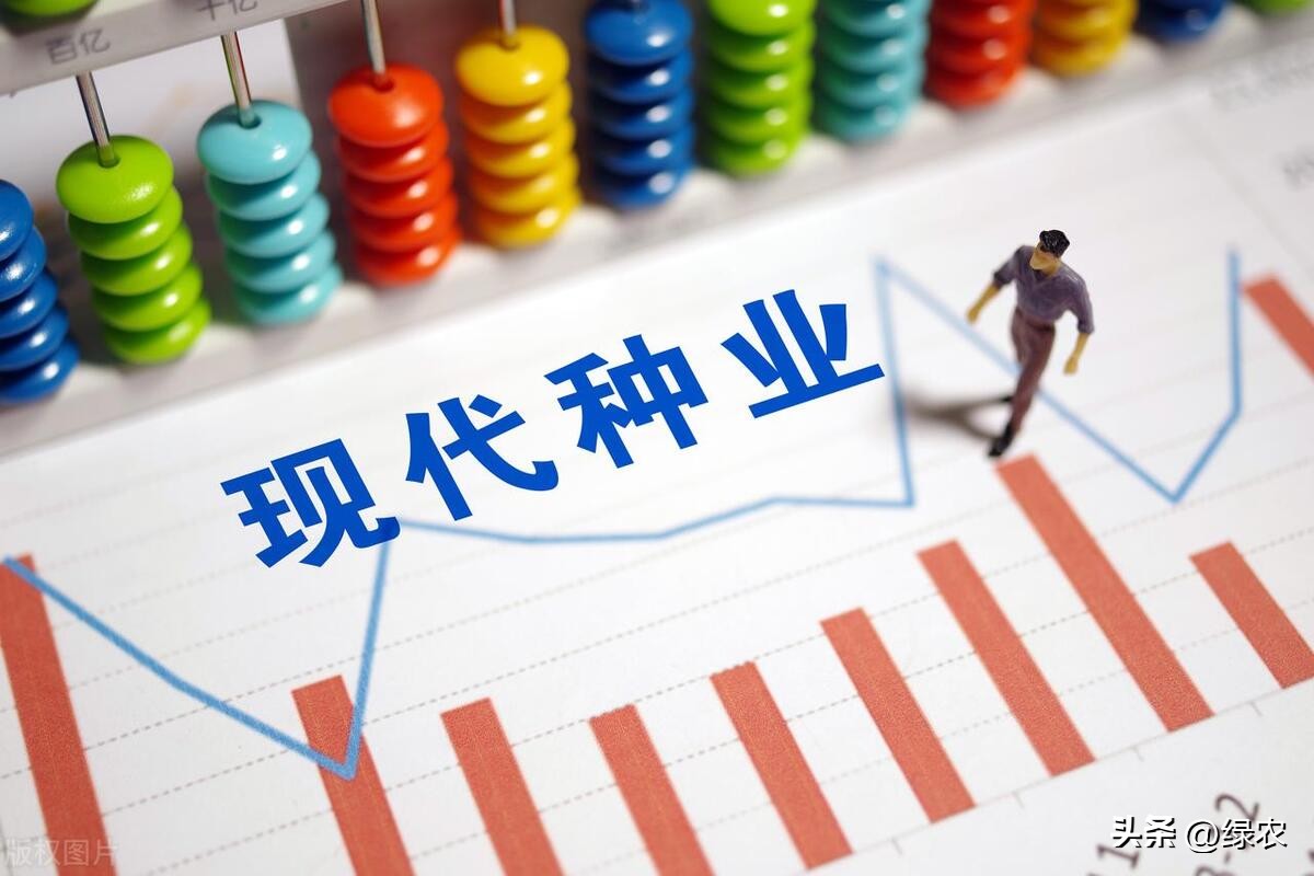 国家最新出台相关农业政策,20大农业政策解读