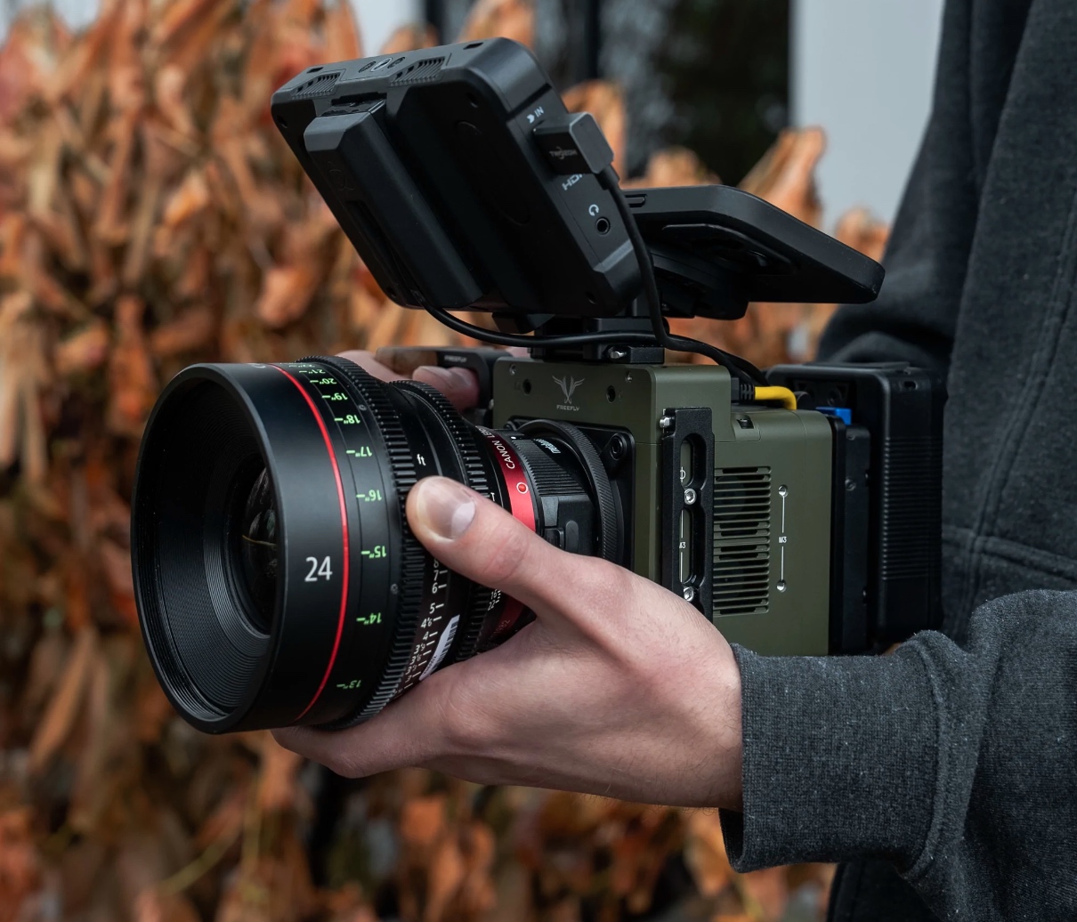 freeflyember中文叫什么,freeflyember中文翻译