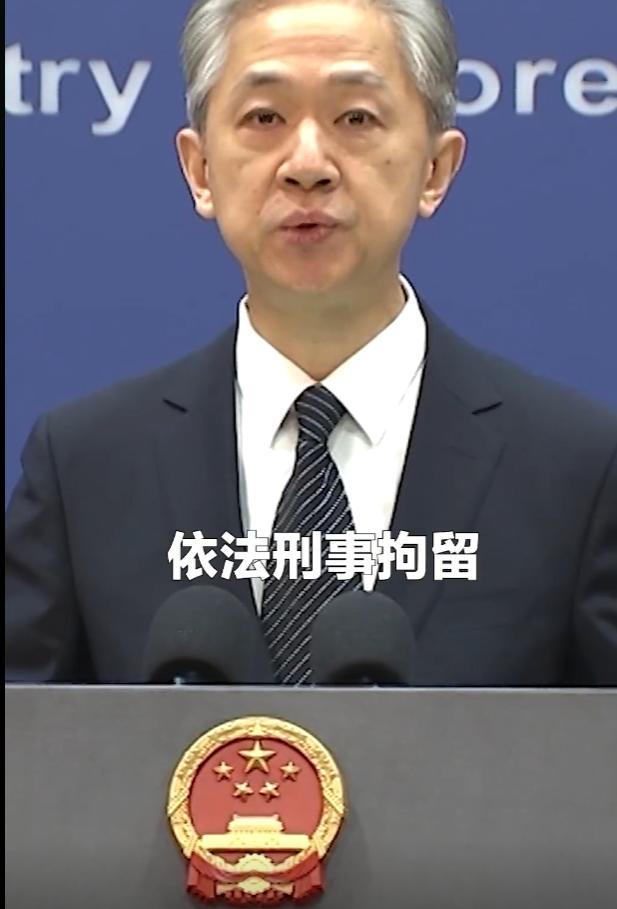 韩国大将陷入中国“假球门”,这波操作太“准”了