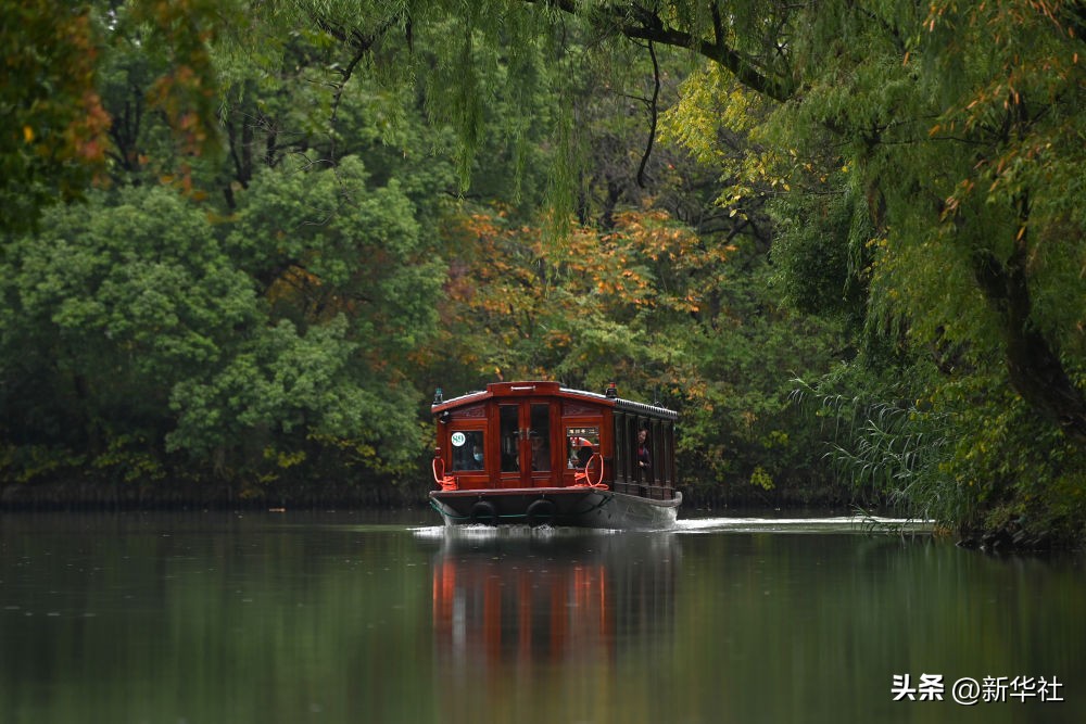 湿地之美惊艳了世界,湿地之美在什么地方