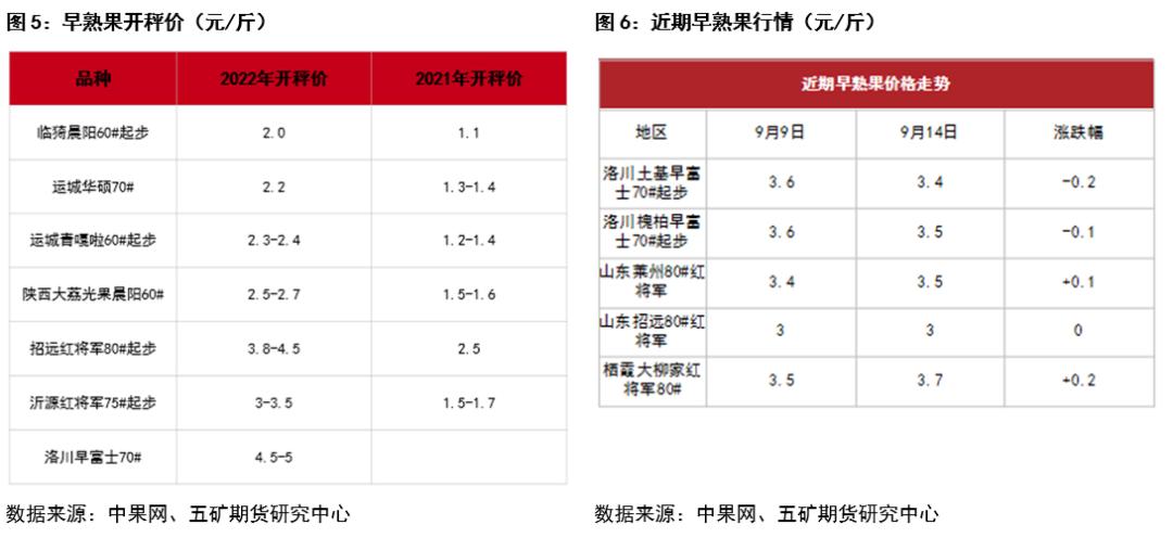 苹果对市场的预期,苹果财报2024一季度市场预期
