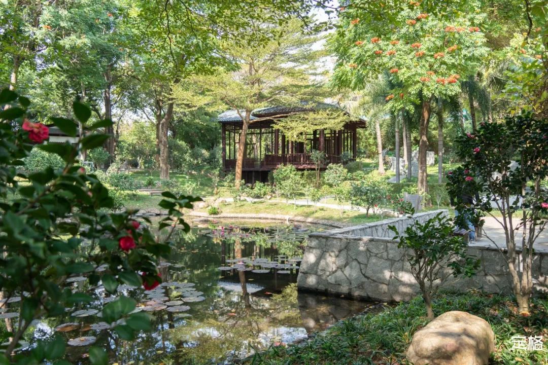 周末来深圳这10个地方免费玩,深圳周末去哪玩免费的地方