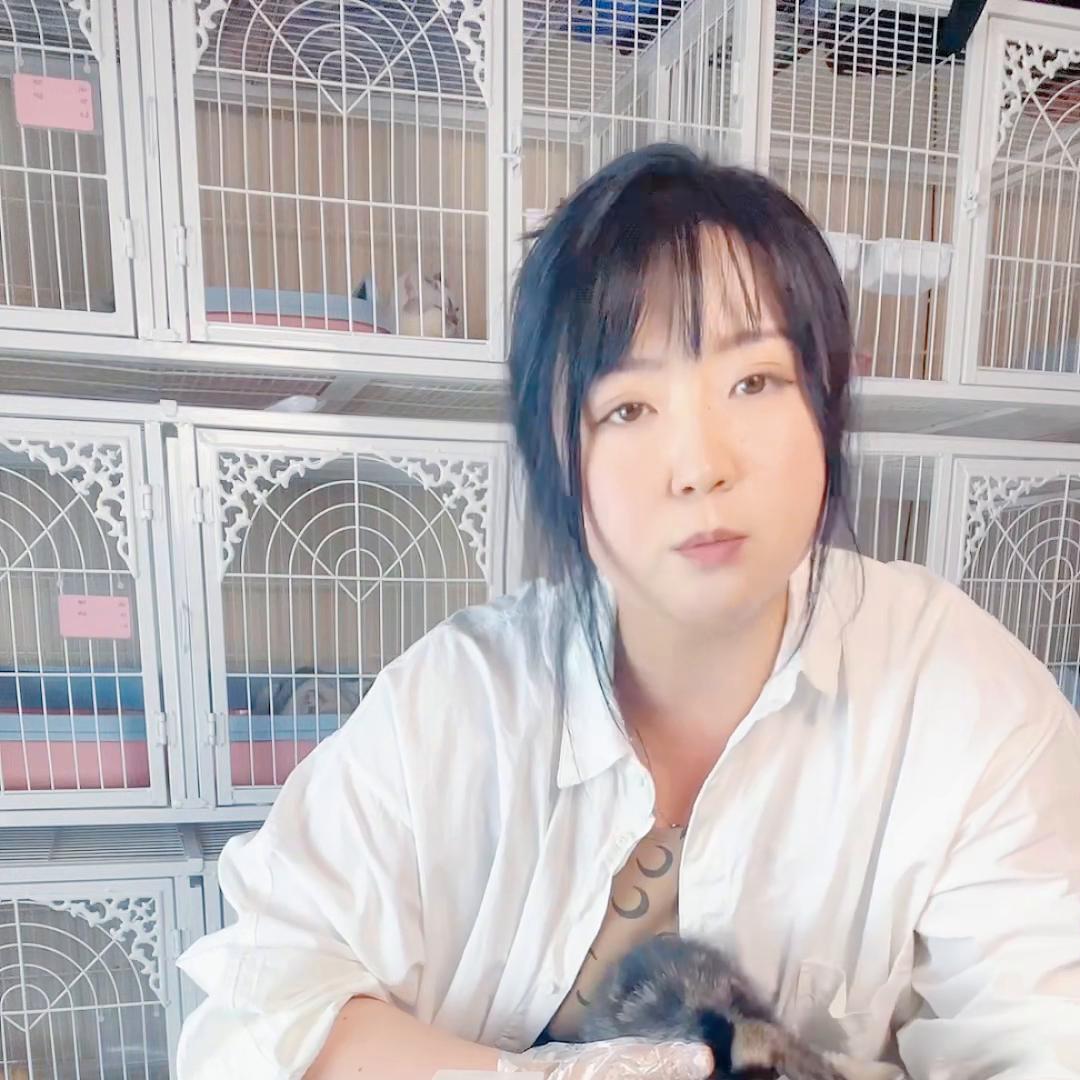 养宠小知识猫癣怎么治好得快,养宠小知识猫咪吃什么预防猫癣