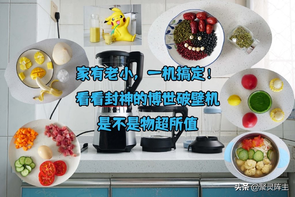 博世破壁机都有哪些功能,博世破壁机对比wmf破壁机