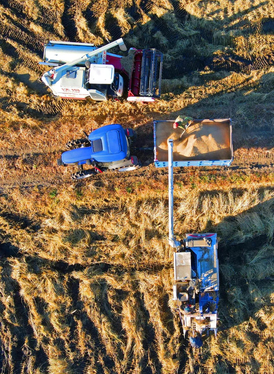 丘陵地区如何实现农业机械化,丘陵地带农机