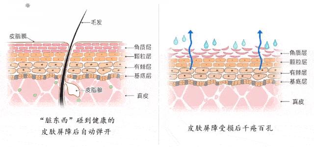 董欣护肤品哪个好用,董欣护肤品推荐