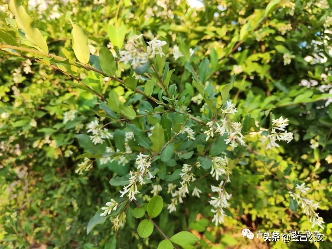 高考心理疏导,高考心理疏导100个方法