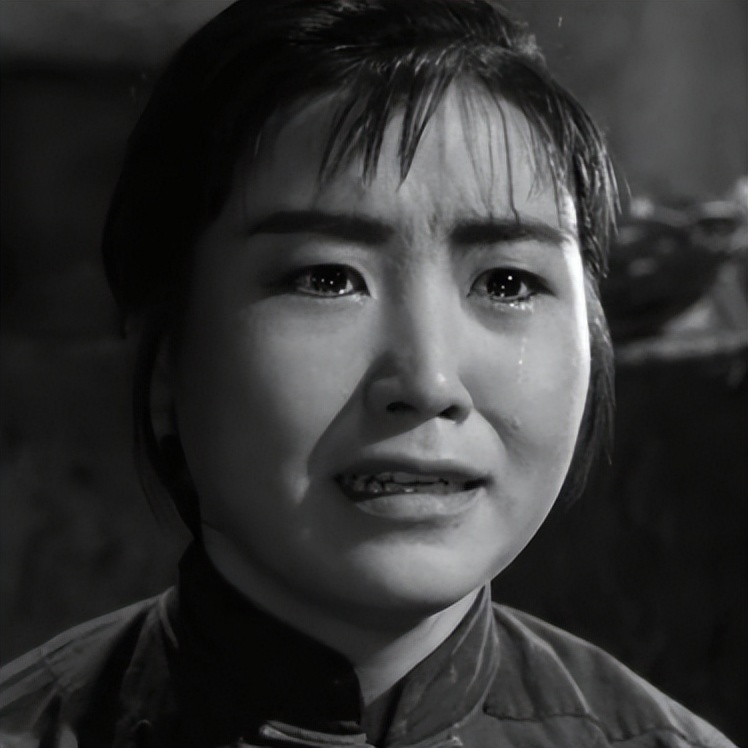 关于革命的小说红日简介,长篇小说红日沈振新的原型是谁