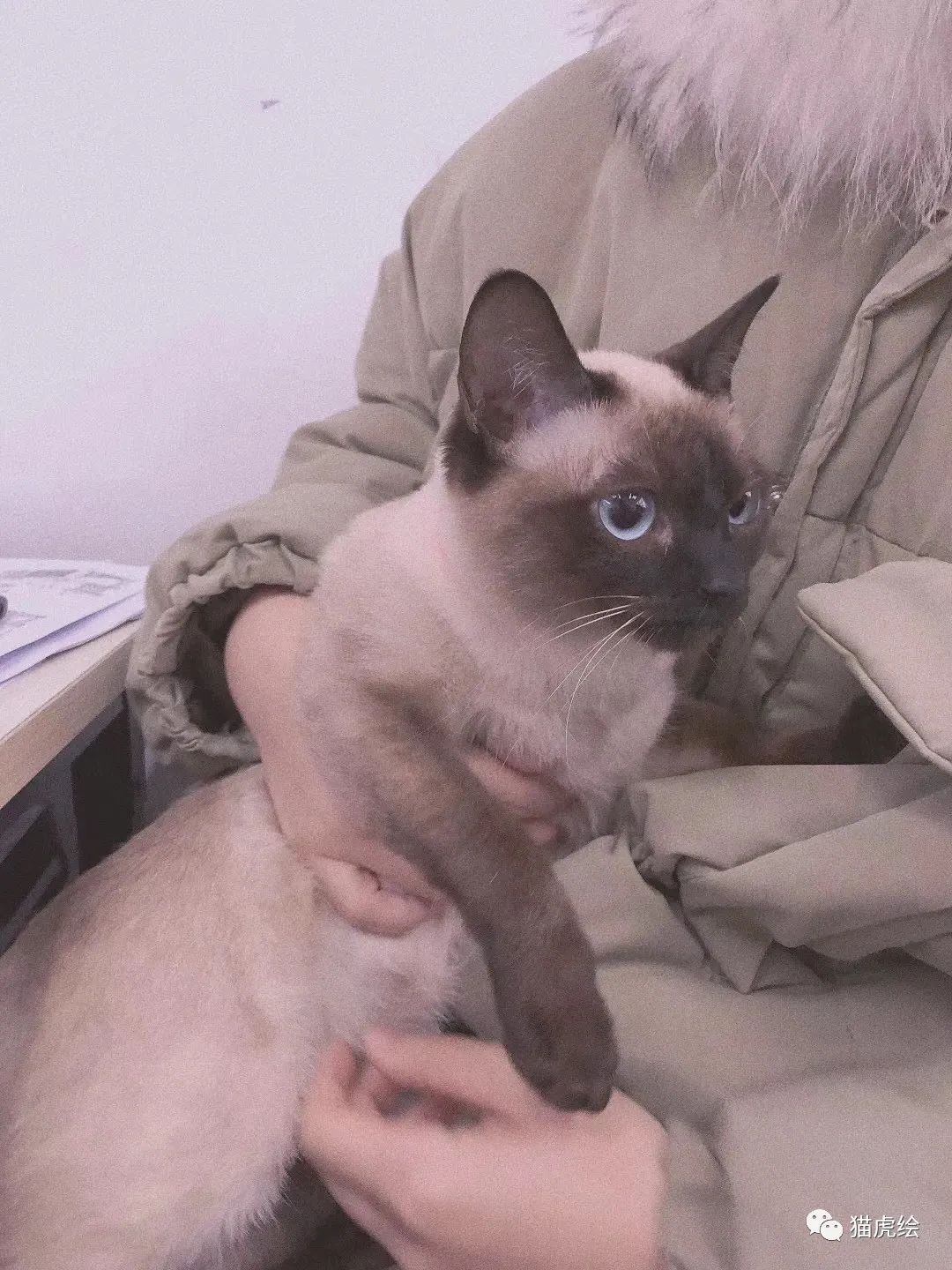 鐚檸缁樼敾,鐚檸鎵嬬粯