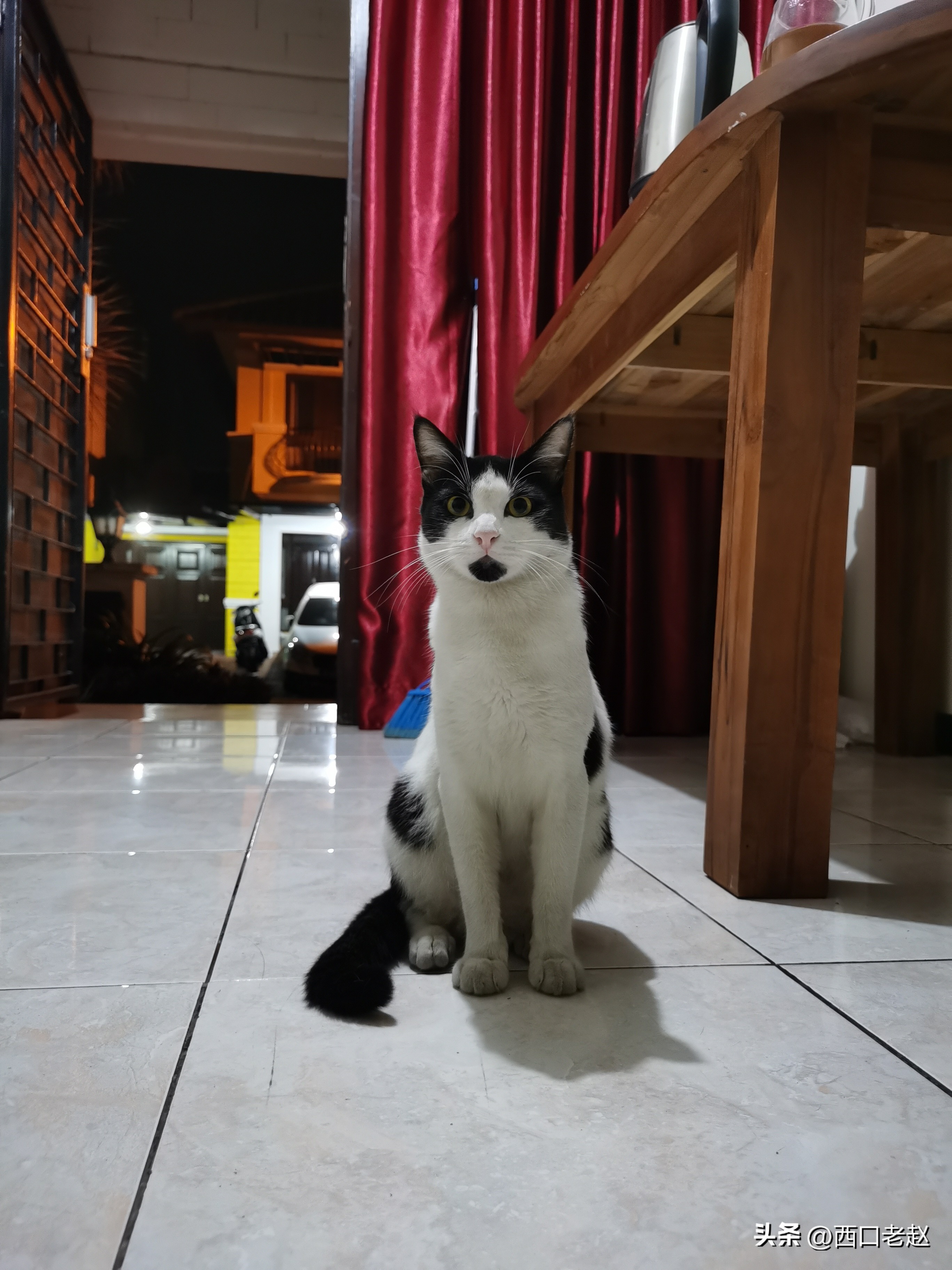 行走在国外的岁月33——致敬我的海外生涯