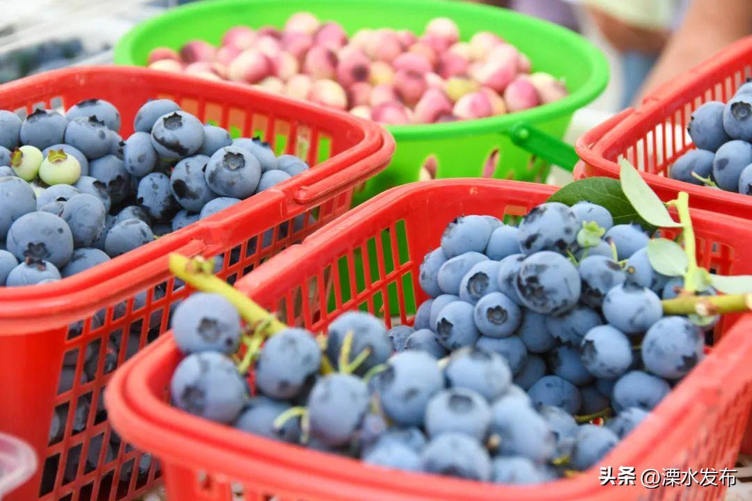 南京溧水最好的活动,南京溧水最新活动
