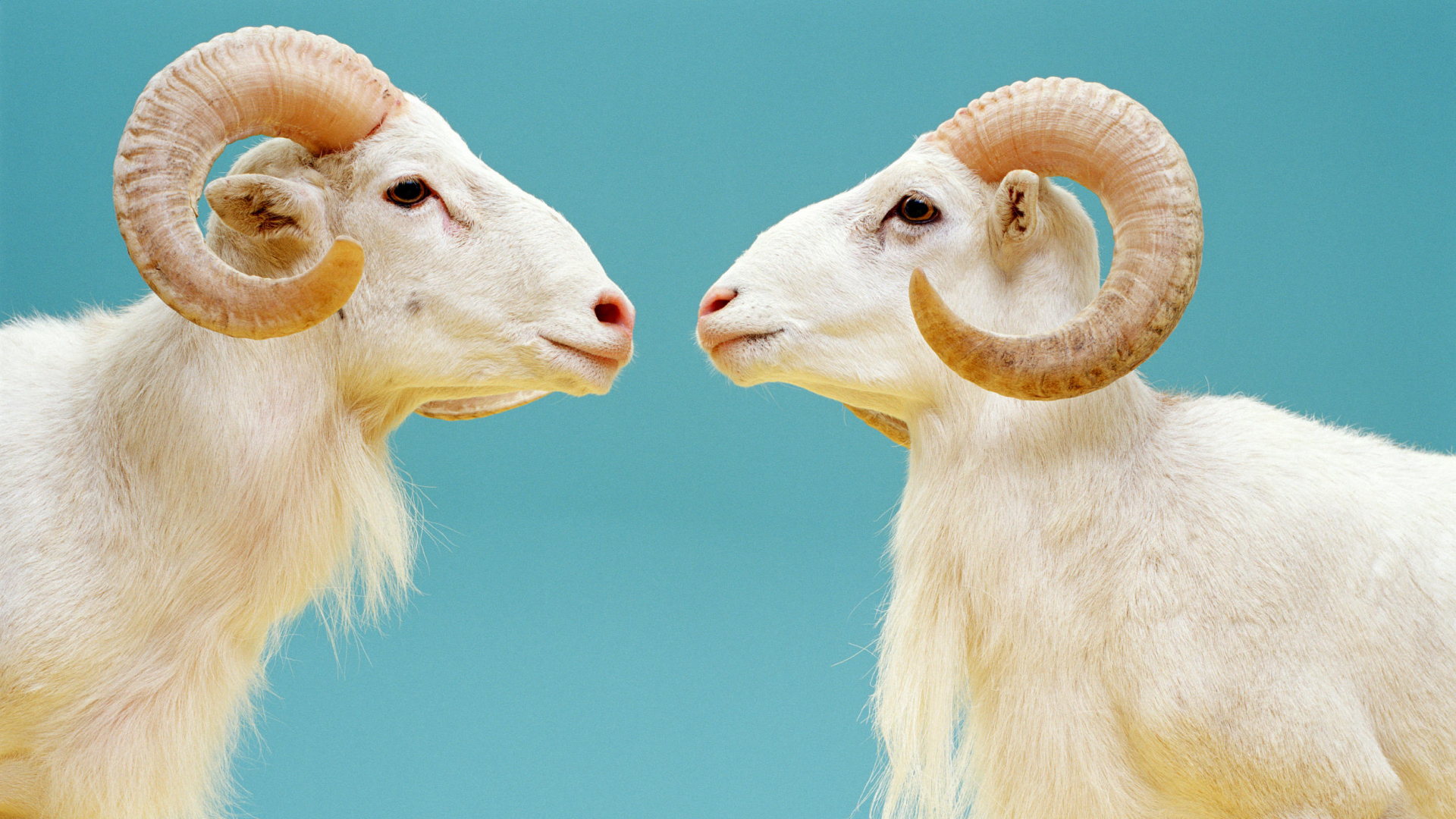 人体冷冻为什么不能解冻,人体冷冻面临的挑战