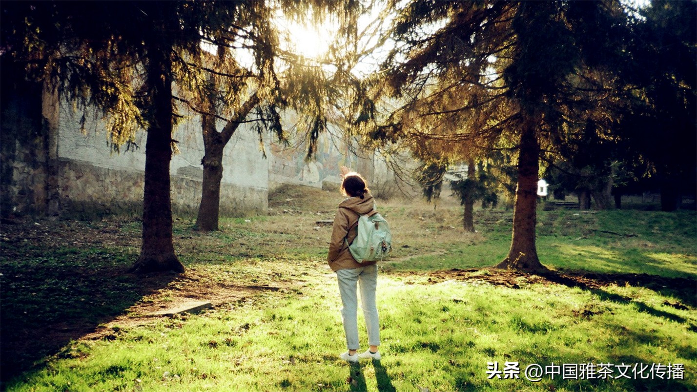 往事越千年人生弹指间意思解释,往事越千年人生弹指间的含义