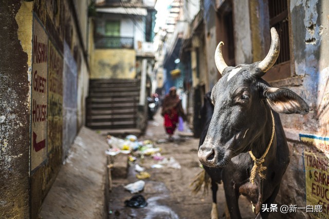 在韩国人眼中韩国有多大,韩国人怎么看待自己的国家
