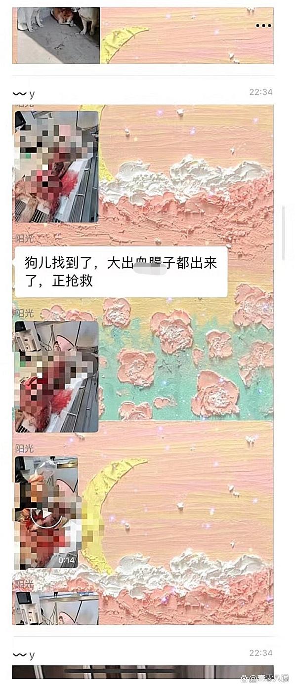 曝光成都贝诺宠物医院某院长偷藏客户财产，并多次导致宠物死亡