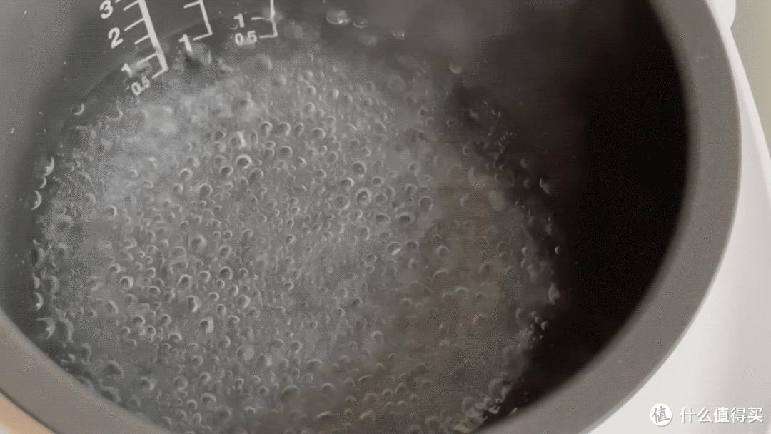 东芝电饭煲10ltc什么功能,日本东芝电饭煲RC-18LTC评测