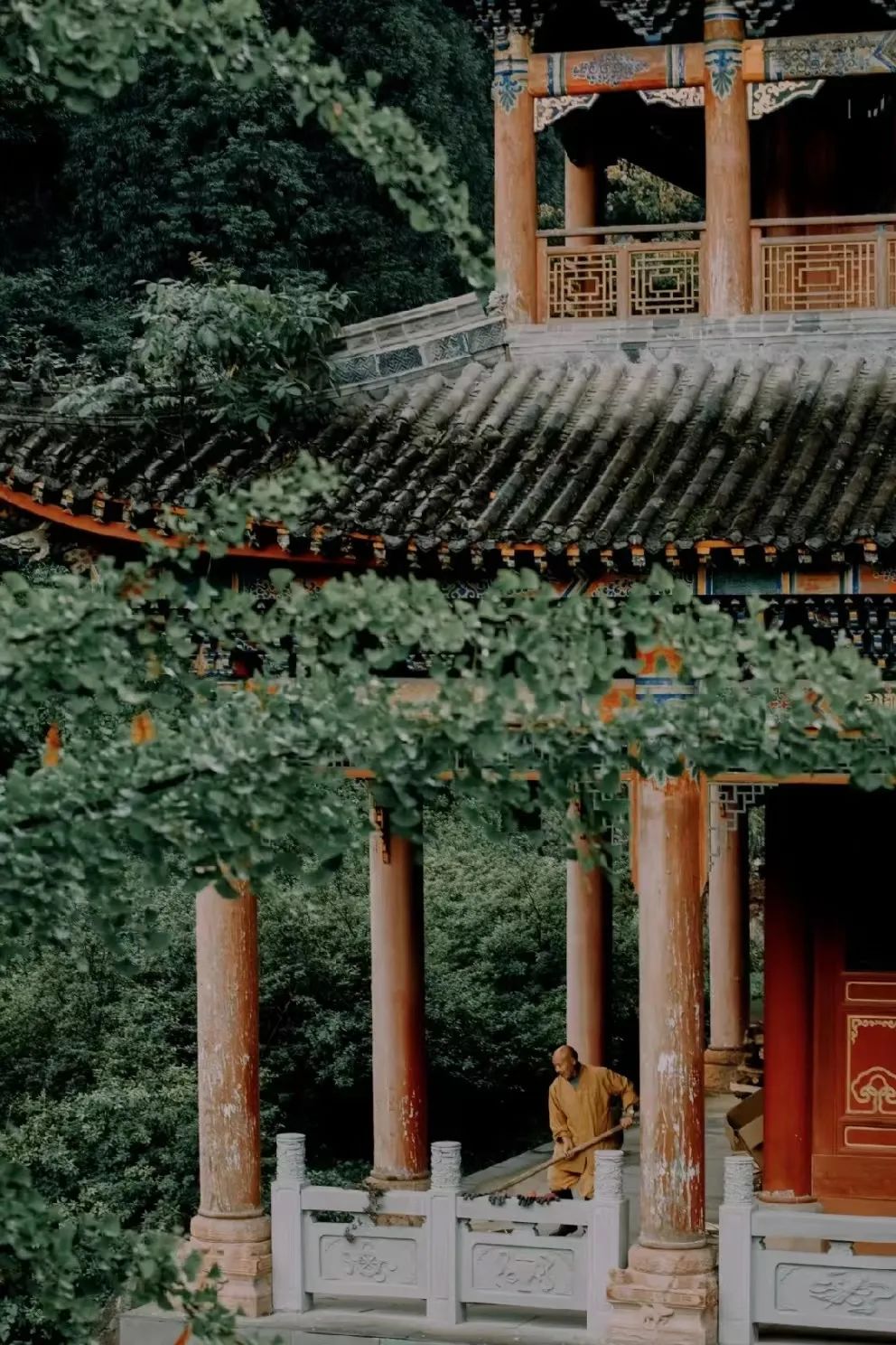 褰窞鐧介箍灏忛晣闇嶆牸娌冭尐,褰窞闇嶆牸娌冭尐