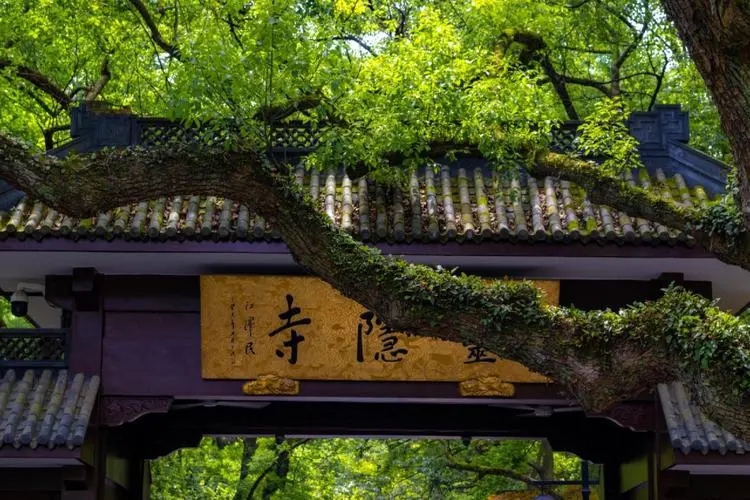 中国最赚钱十座寺庙，少林寺上榜！和尚们富得流油，看完你想出家