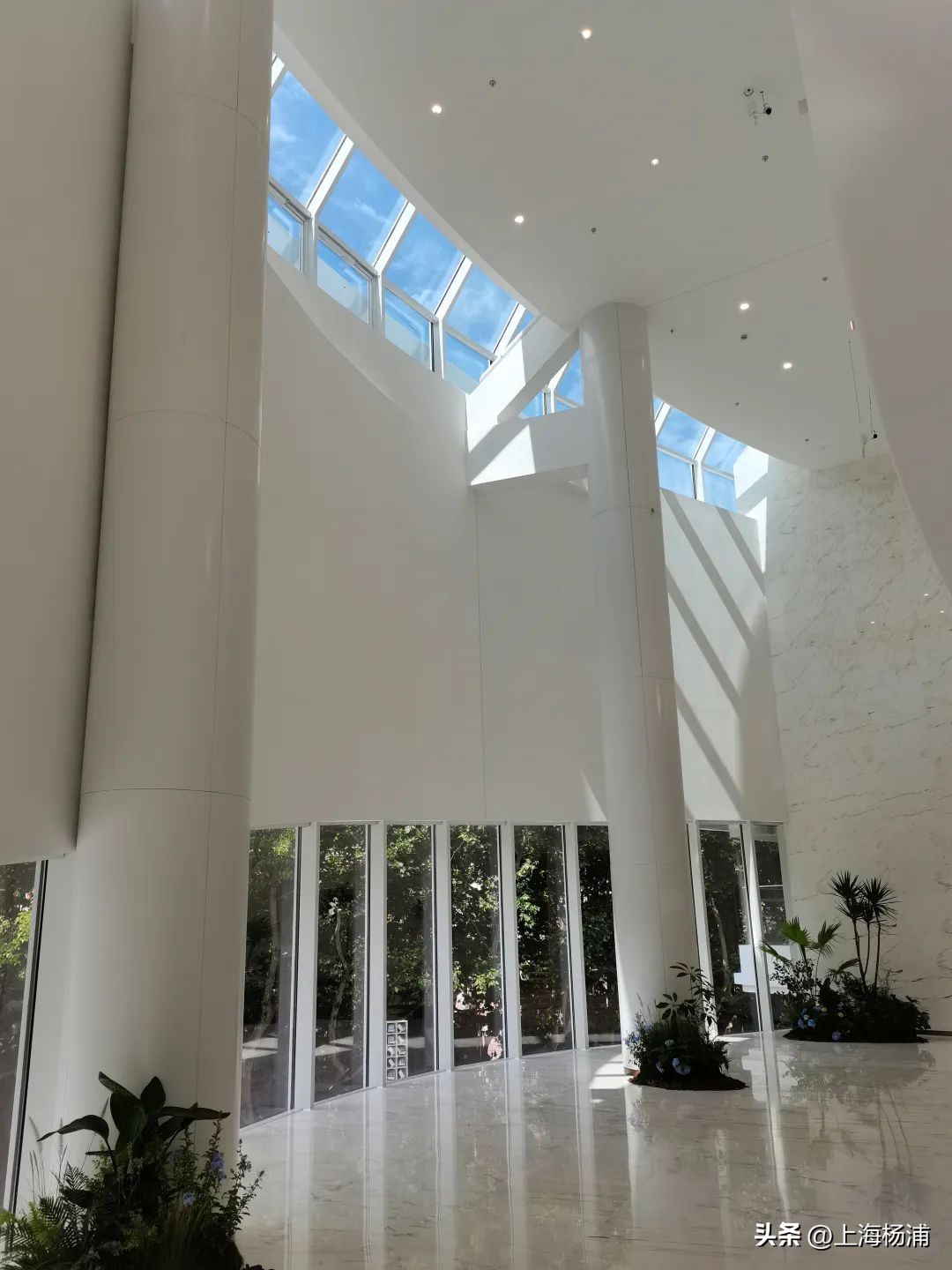 上海影城有什么,上海影城将启动焕新工程