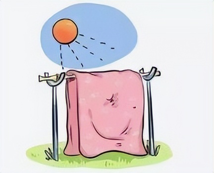 房间有床虱买什么杀虫剂,被床虱跳蚤臭虫咬了是什么症状