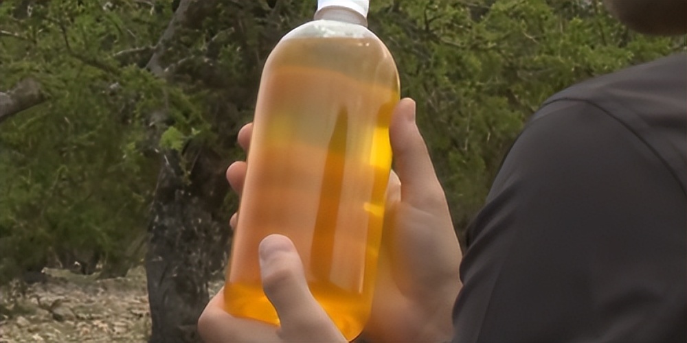 摩洛哥踢球干净吗,摩洛哥的羊为什么上树