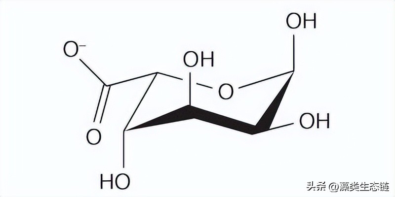 从池塘浮渣到产品:藻类化学
