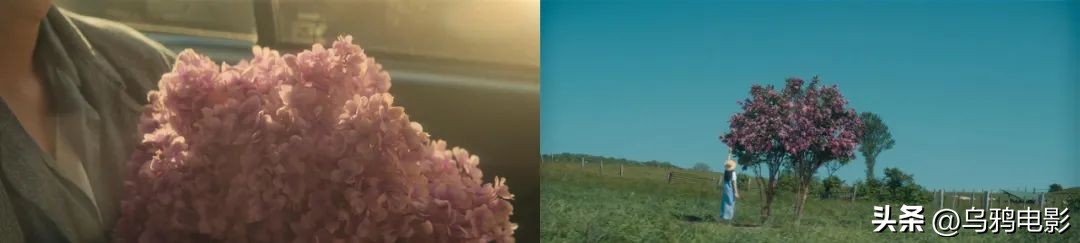 狂砸9亿，阵容逆天，拍出来却被骂上热搜…