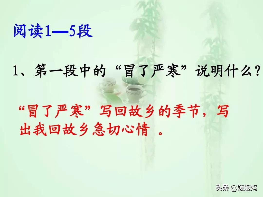 九年级上册语文第15课故乡预习,语文书人教版九上故乡ppt