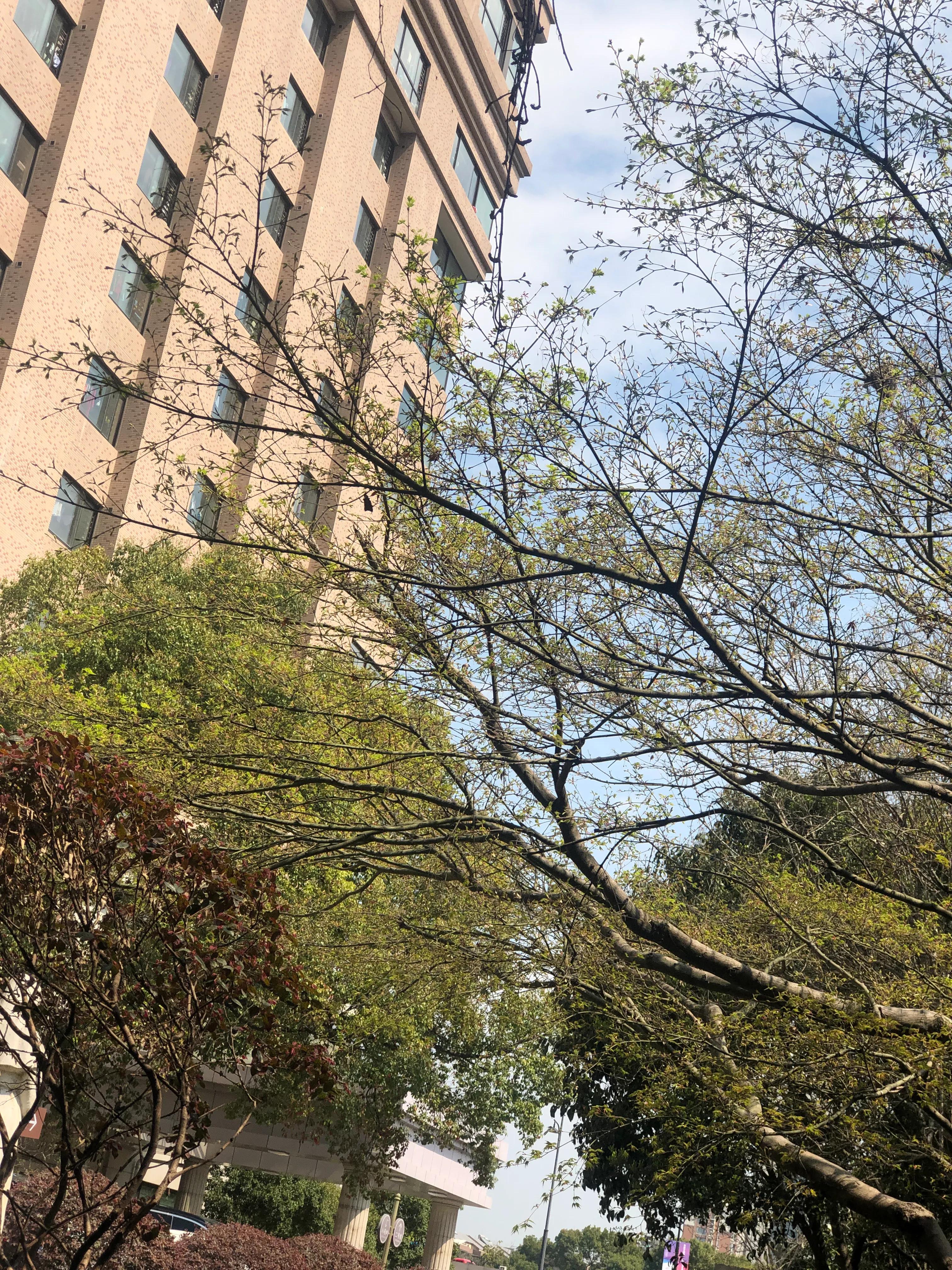 人脆弱珍惜眼前珍惜当下的句子,生病了才知道身体很脆弱珍惜生命