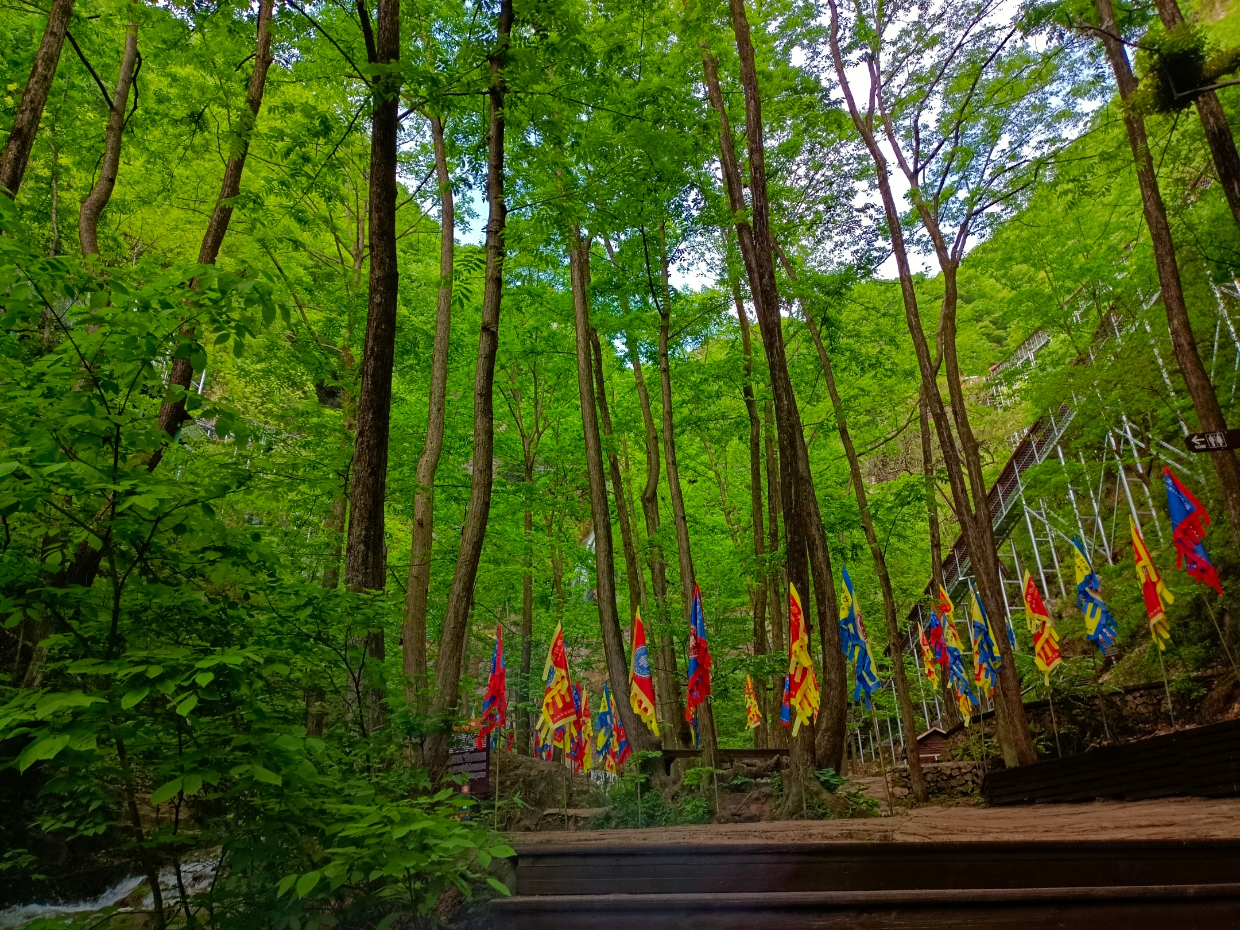 洛阳博物馆剧本杀,洛阳剧本体验馆