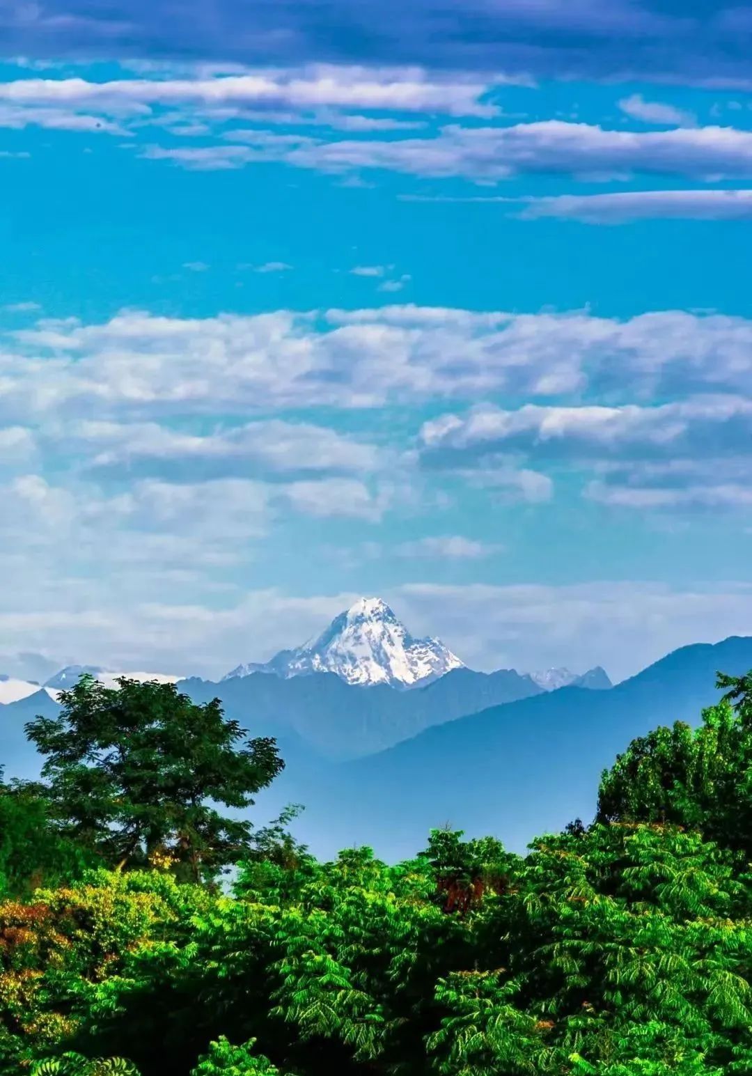 晴空雪山,雨过天晴的都江堰又见雪山
