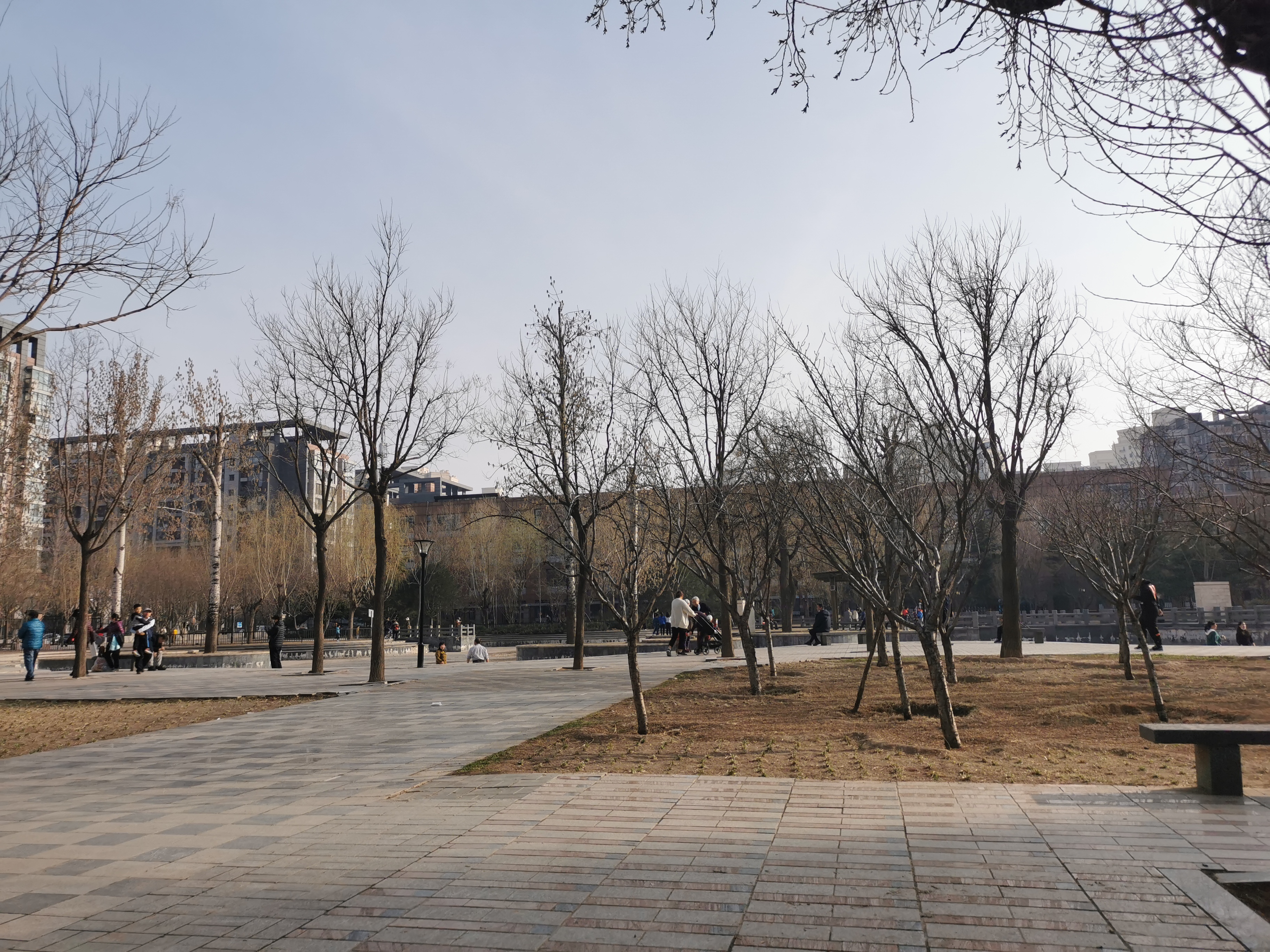 朝青板块分布图,朝青板块是朝阳吗